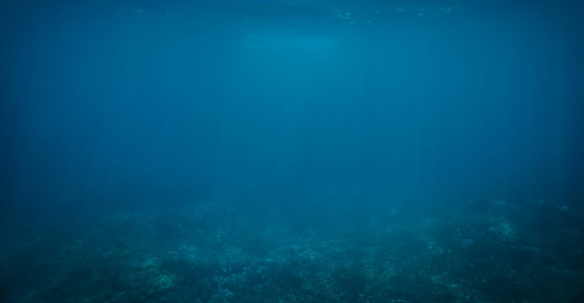 Lavandou Plongée