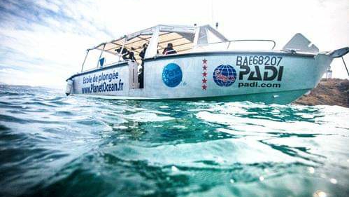PlanetOcean - randonnée palmée guidée sur la côte basque à Hendaye — Randonnée palmée & snorkeling — Hendaye