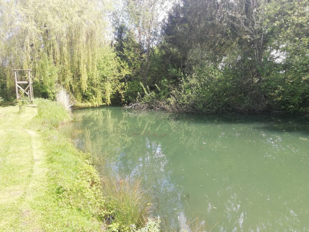 Au soleil de Picardie — Paddle — Vailly-sur-Aisne