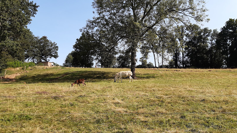 Domaine de la Doux