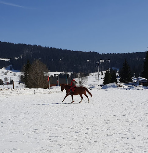 Centre Équestre Tinguely — Balade à cheval — Les Rousses