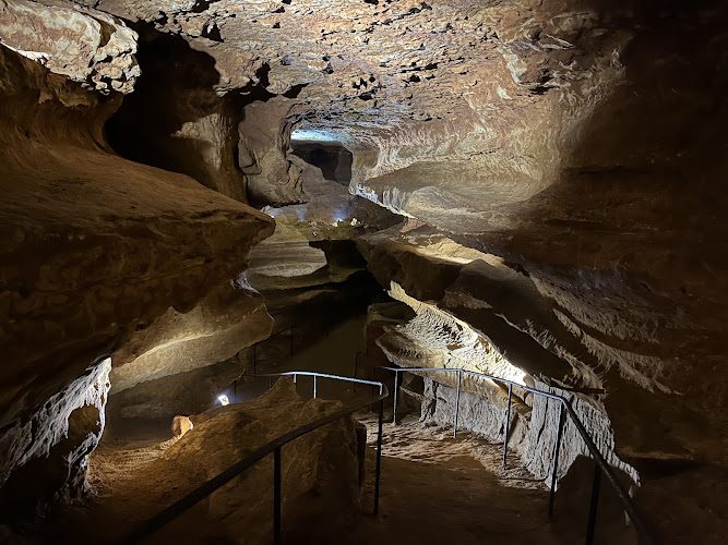 Grotte de Maxange - forêt d’excentriques découverte en 2000 — Visite de grottes & gouffres — Le Buisson-de-Cadouin
