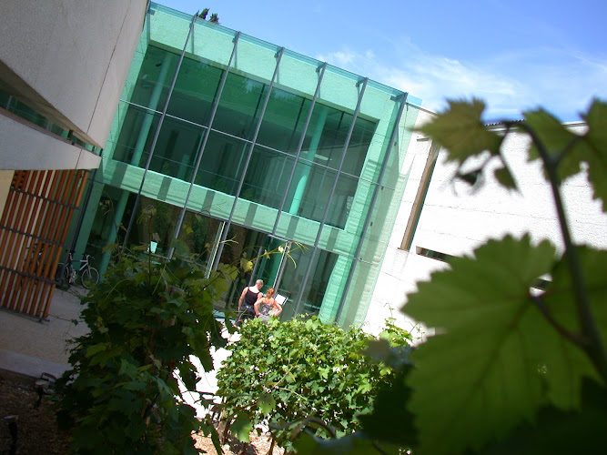 Musée des savoir-faire du cognac — Musées de marques & savoir-faire — Cognac