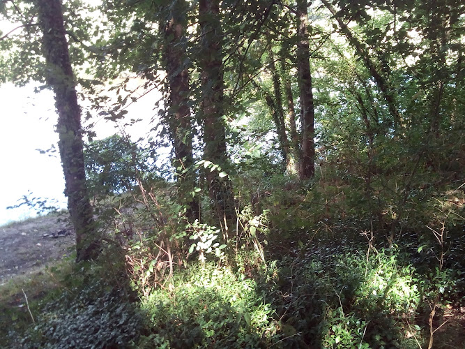 Accueil de Loisirs