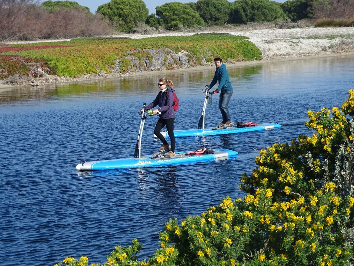 Aquastepper — Paddle — Gruissan