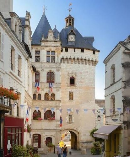La troglodyte fantastique Lochoise — Logements Troglodytes (Maisons creuséees, Grottes aménagées,...) — Loches