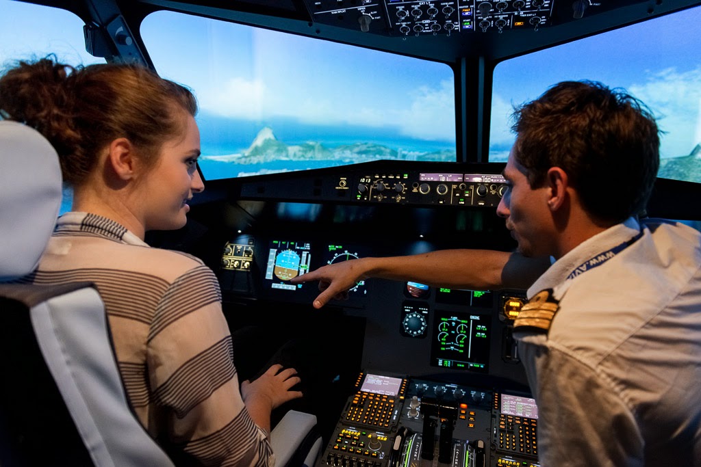 AviaSim Toulouse - Simulateur de vol — Beauzelle
