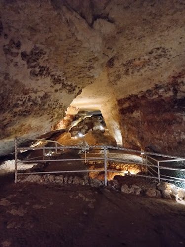 Grotte de Bara-Bahau - griffades d’ours et grandes gravures magdaléniennes au Bugue — Visite de grottes & gouffres — Le Bugue