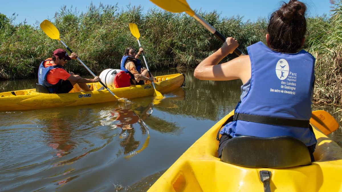 Maison de la Nature - Canoë sur la Leyre — Canoë - Kayak — Le Teich