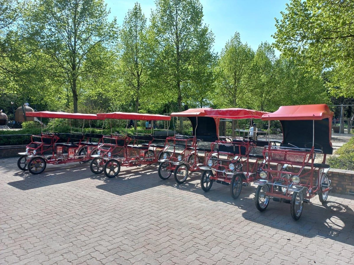 Location de rosalie au Parc Floral de Paris — Location de rosalies (vélo à 4 roues) — Paris