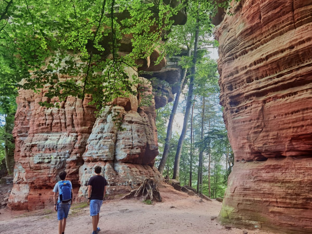 Altschlossfelsen — Balade en forêt — Eppenbrunn