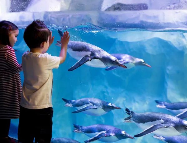 SEA LIFE Val d'Europe — Visiter un Aquarium — Serris