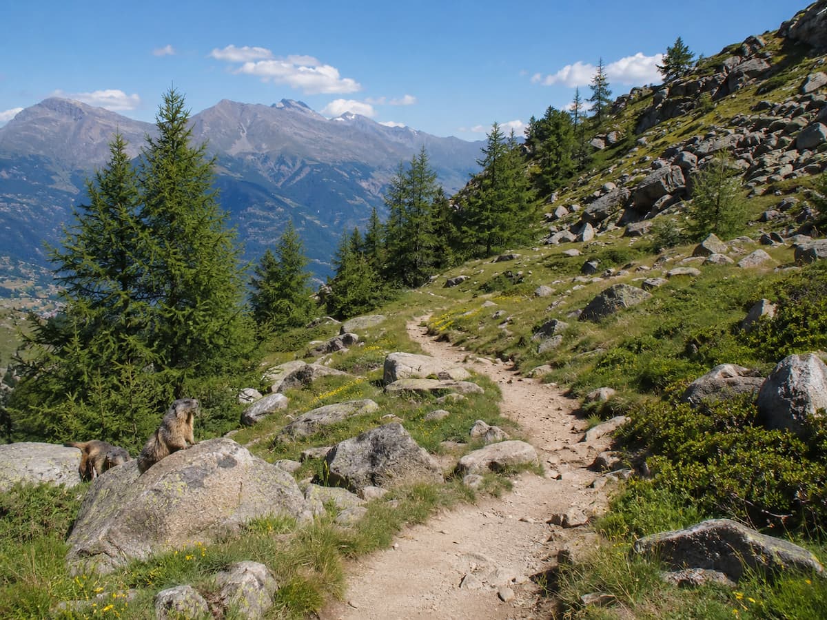 Sentier des Marmottes