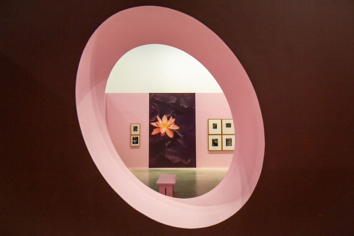 Rencontres d'Arles - festival de photographie - Festivals - Arles