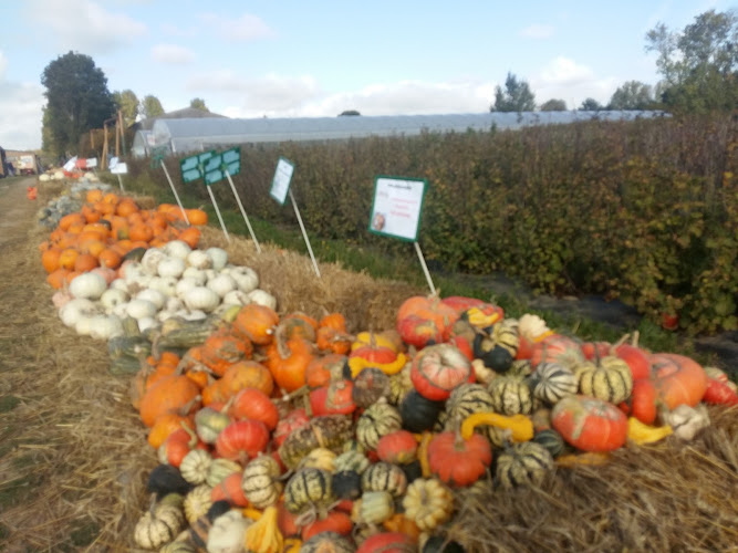 Cueillette et Boutique d'Octeville- Ferme