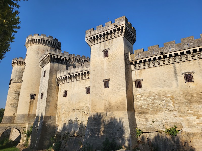 Château de Tarascon — Patrimoine — Tarascon