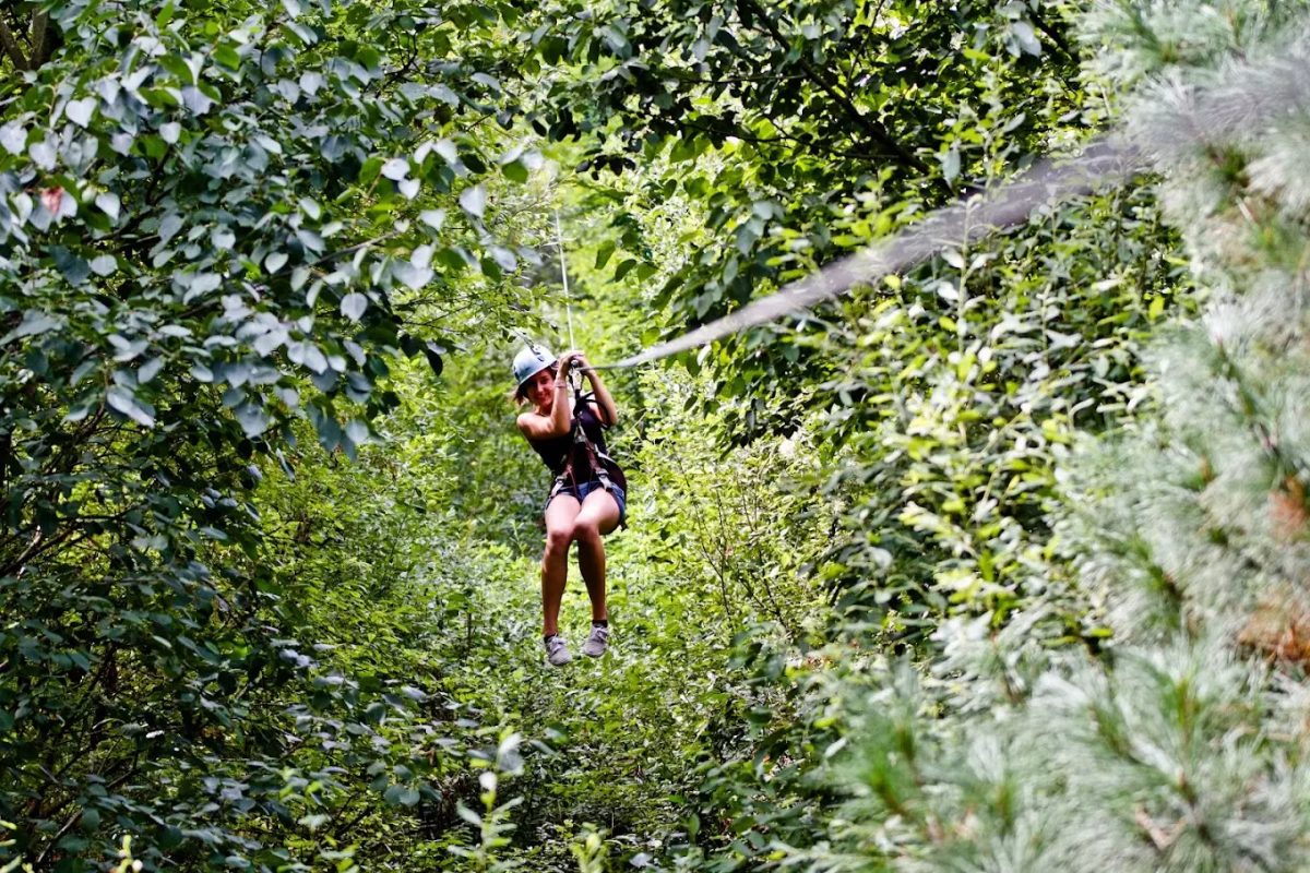 Indian Forest Yvelines — Accrobranche - Parcours Aventure — Morainvilliers