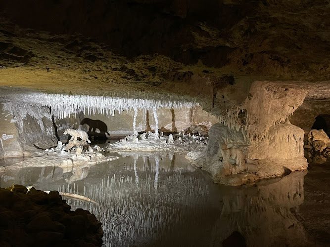 Grottes pétrifiantes de Savonnières - visite souterraine en Touraine — Patrimoine — Savonnières