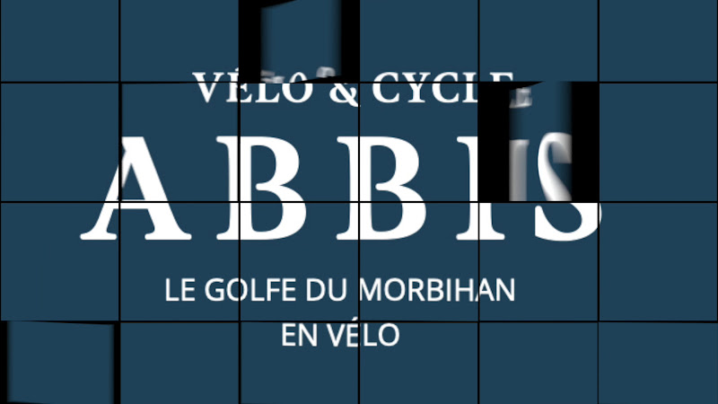 Location de rosalie à Damgan - Vélos & Cycles Abbis — Damgan