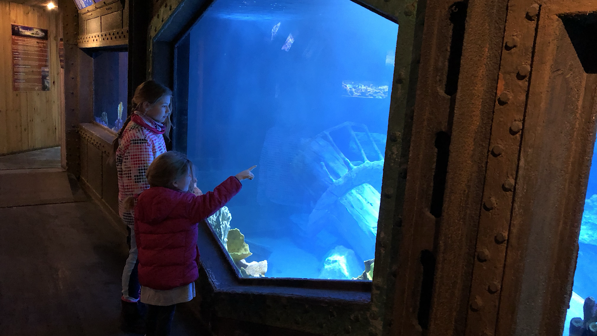 Aquarium d'Amnéville — Visiter un Aquarium — Amnéville