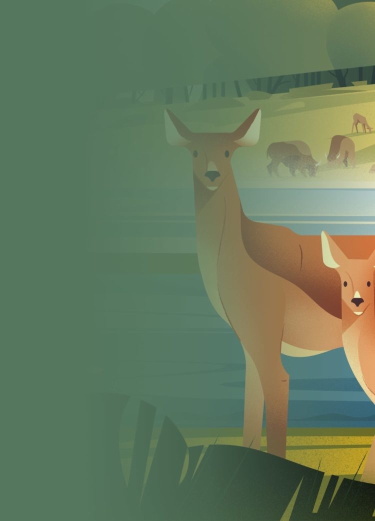 Parc Animalier de Sainte-Croix