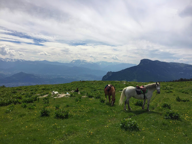 Randonnée et balade à cheval ~ Cap Cavale — Lans-en-Vercors