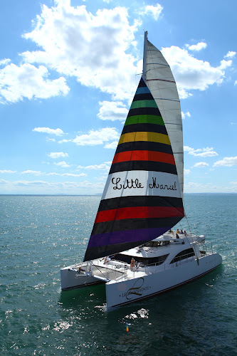 Catamaran Le Providence: Balade pêche en mer & Dauphins — Dîner-croisière & croisière gourmande — Le Grau-du-Roi