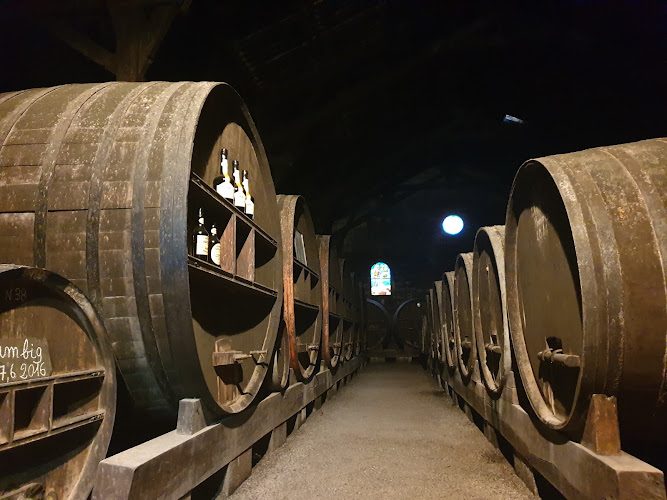 Manoir du Kinkiz - visite de cidrerie et vergers à Quimper — Visite de cidrerie & dégustation de cidre — Quimper
