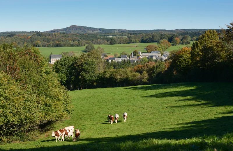 Les Plantades à Avèze - randonnée sur les gorges et le massif du Sancy - Randonnée pédestre - Avèze