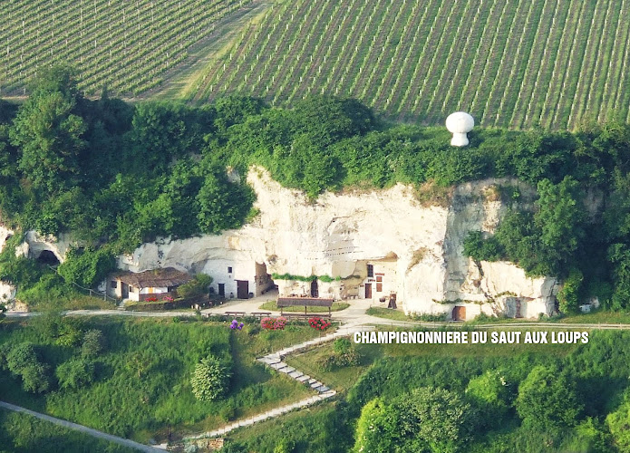 Le Saut aux Loups – Champignonnière & restaurant troglodyte — Repas dans une grotte aménagée — Montsoreau