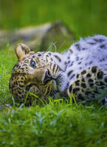 Zoo de La Boissière du Doré — Anniversaire enfant — La Boissière-du-Doré