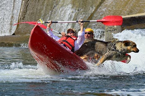 Castor Canoë — Canoë - Kayak — Vallon-Pont-d'Arc