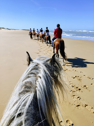 Centre équestre Le Cheval Autrement — Balade à cheval — Les Mathes