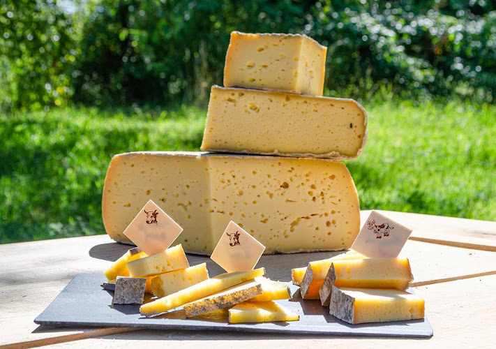 La Quesne — de la prairie au fromage fermier en Normandie — Bois-Héroult