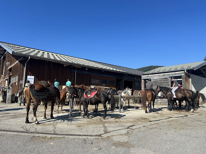Le Cheval de Feug - Duvillard François & Florian — Balade à cheval — Demi-Quartier