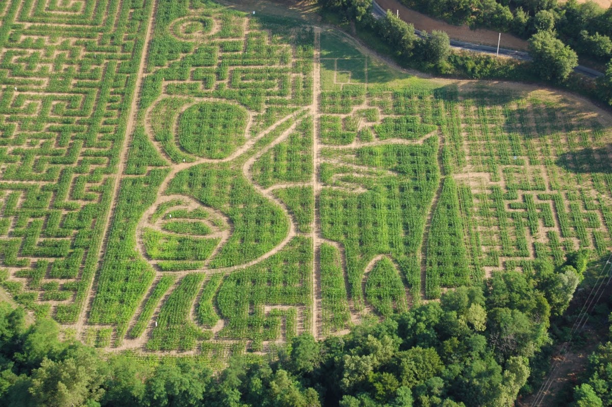 Labyrinthe végétal — Labyrinthes végétaux — Charmes-sur-Rhône