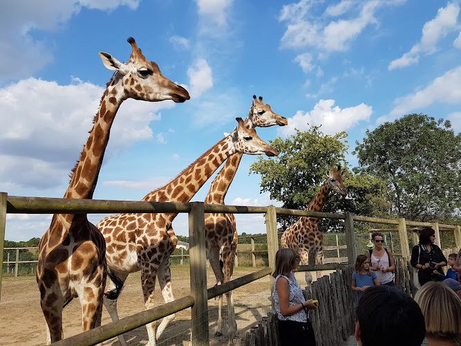 Natur'Zoo De Mervent — Visite d'un Zoo / Parc zoologique — Mervent