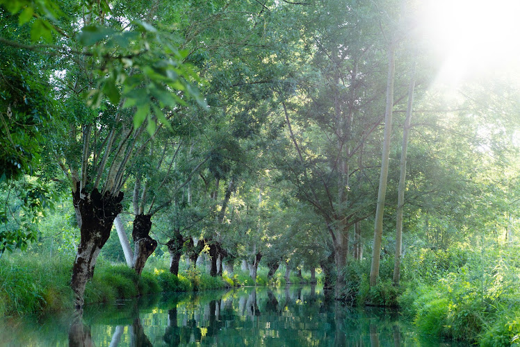Embarcadère La Trigale - Le Marais Poitevin — Croisière fluviale — Coulon