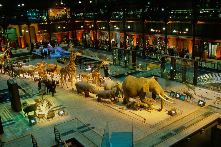 Grande Galerie de l'Évolution — Musées d'histoire naturelle — Paris