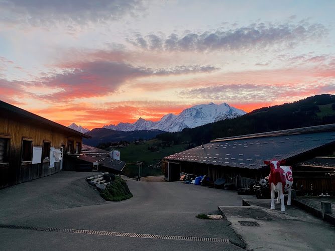 La Ferme Les Montagnards - beurre maison et animaux à Combloux - Cueillette & Agritourisme - Combloux
