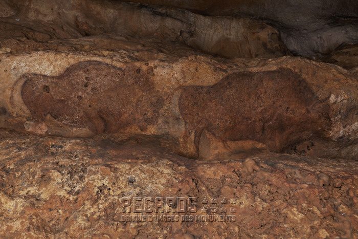 Font-de-Gaume - peintures polychromes originales dans une grotte encore ouverte au public — Visite de grottes & gouffres — Les Eyzies