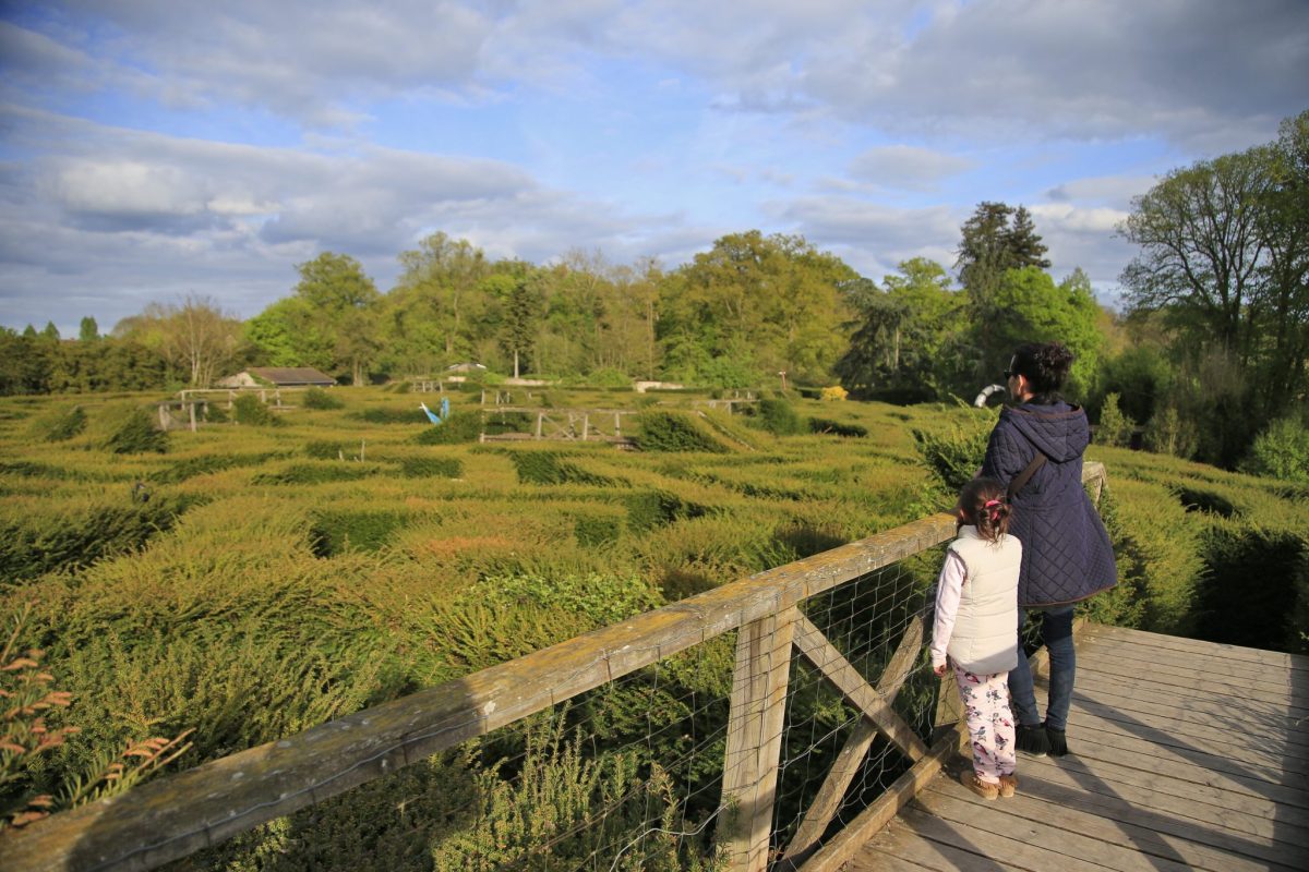 Grand Labyrinthe De Thoiry — Labyrinthes végétaux — Thoiry
