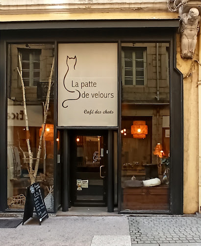 La patte de velours