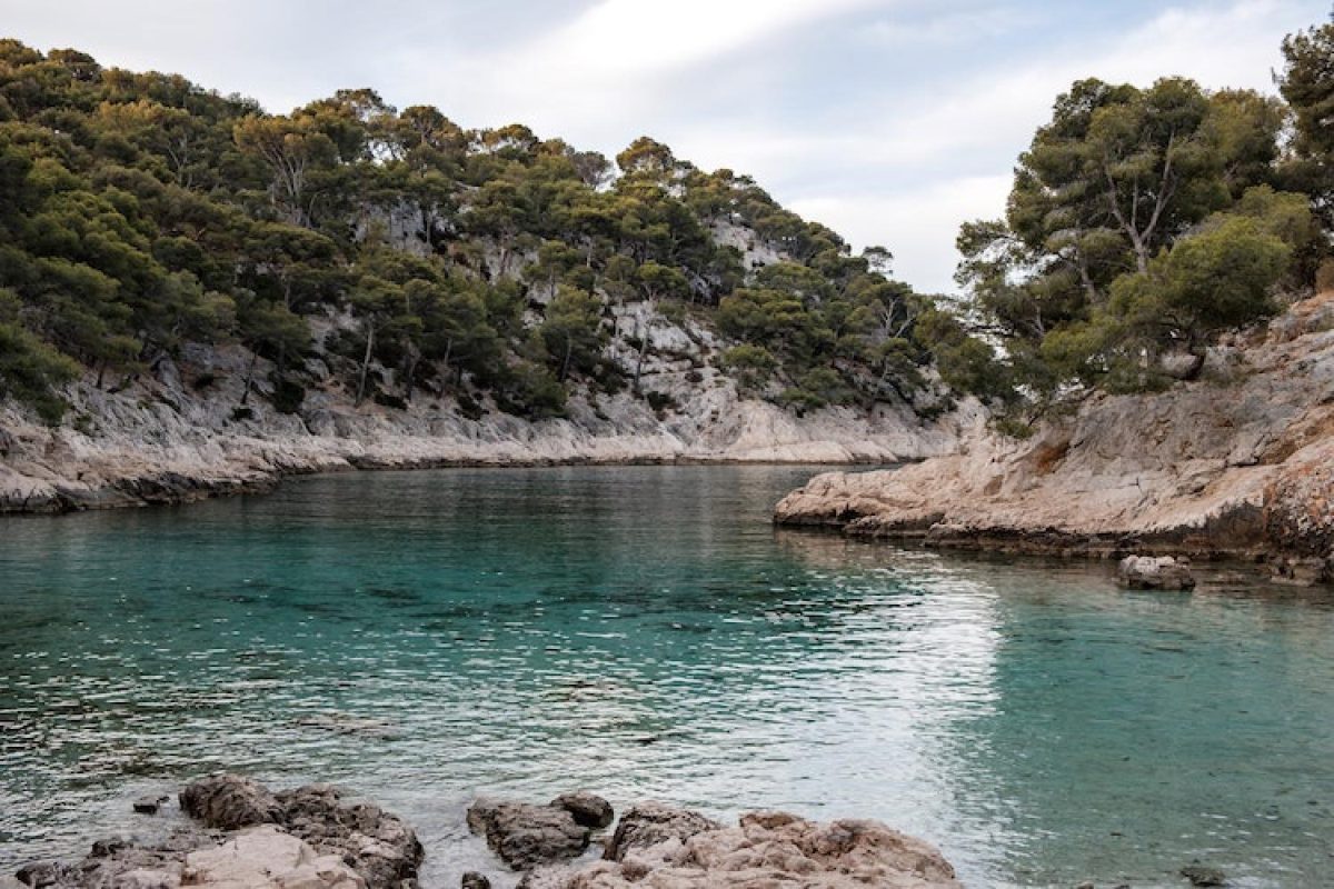 Calanque de Port Pin — Calanques, Criques & Falaises — Marseille