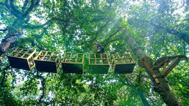 Lantic Parc Aventure — Accrobranche - Parcours Aventure — Lantic