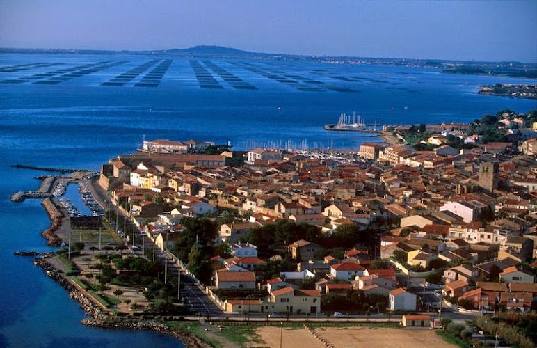 Riverly Lattes (Locaboat) - Location bateau Camargue & Canal du Rhône à Sète — Location de bateaux sans permis — Lattes
