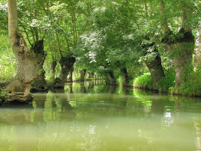Maison du Marais Poitevin — Musées Historiques — Coulon