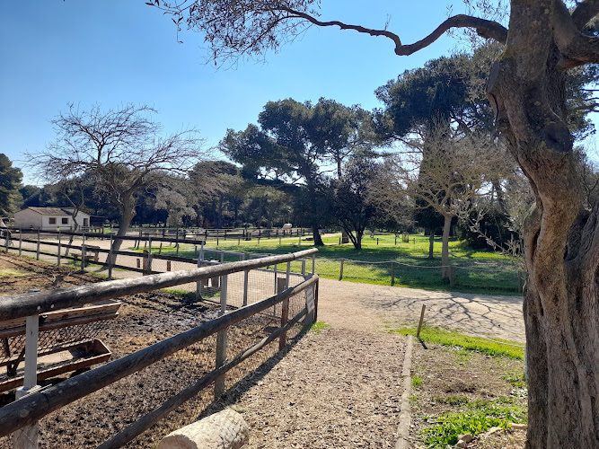 Ferme pédagogique du Parc de Figuerolles — Ferme éducative — Martigues