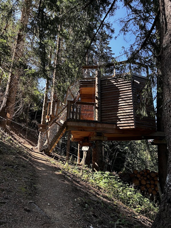 Cabane dans les Arbres - Valmo'Insolite