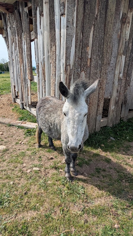 La ferme de Zoé